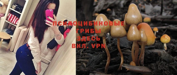 хмурый Кукмор